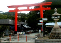 torii.jpg (11682 oCg)